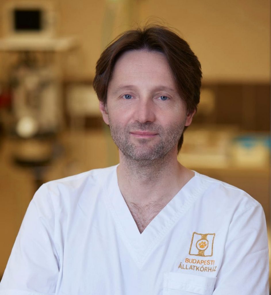 Bende Balázs dr. PhD